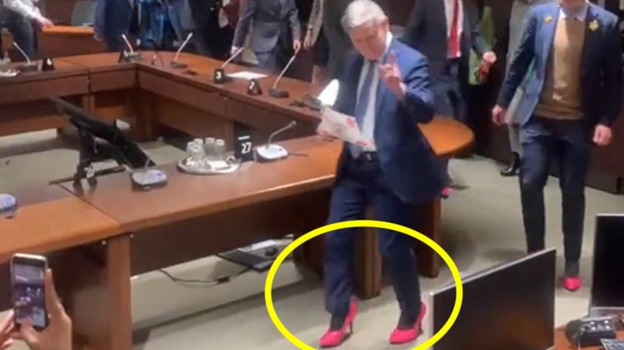 Male Canadian politicians parade in pink high heels for domestic abuse | Video