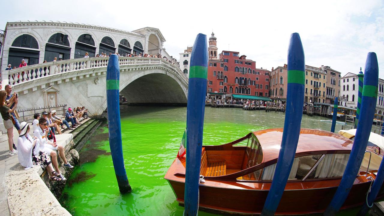 Venice Grand Canal turns bright green, authorities investigating why