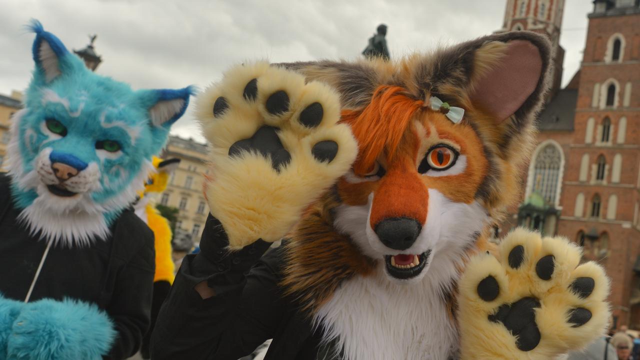 Parents, teachers warned to respect schoolkid Furries