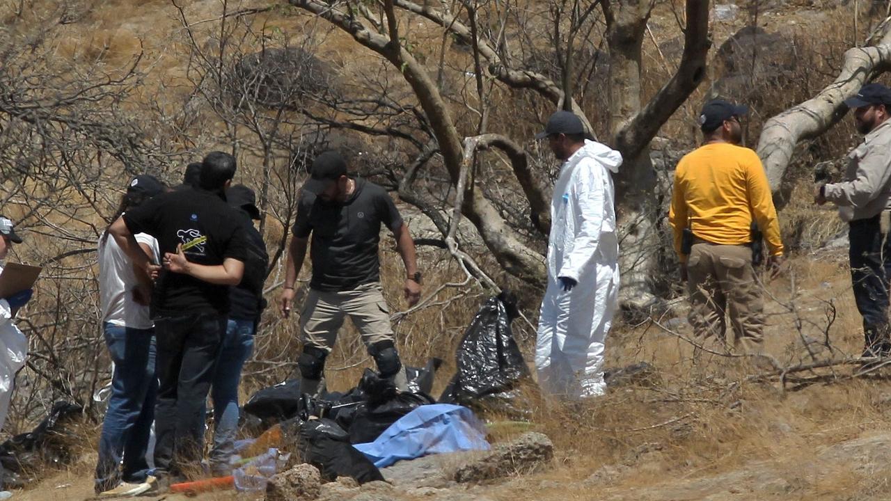 Mexico police find 45 bags with human body parts in ravine