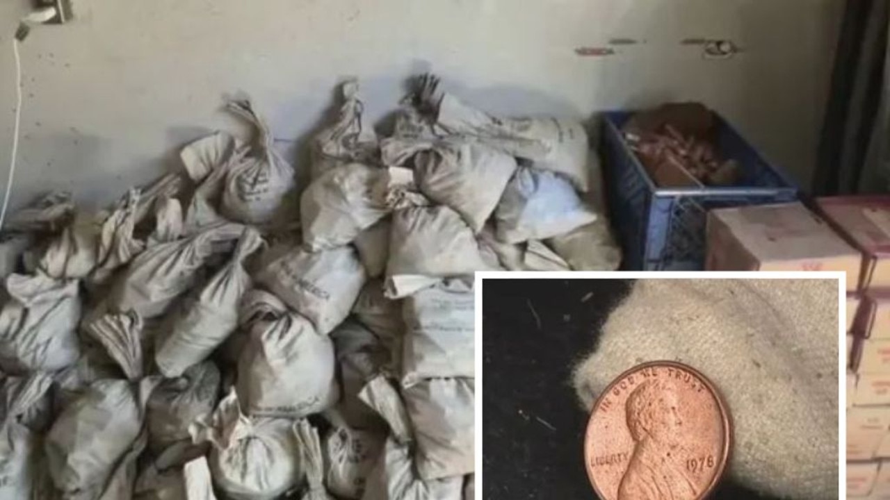 Family finds one million copper pennies in LA home