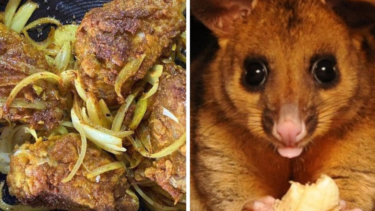 New Zealanders cooking possum ‘roadkill’ as meat prices soar