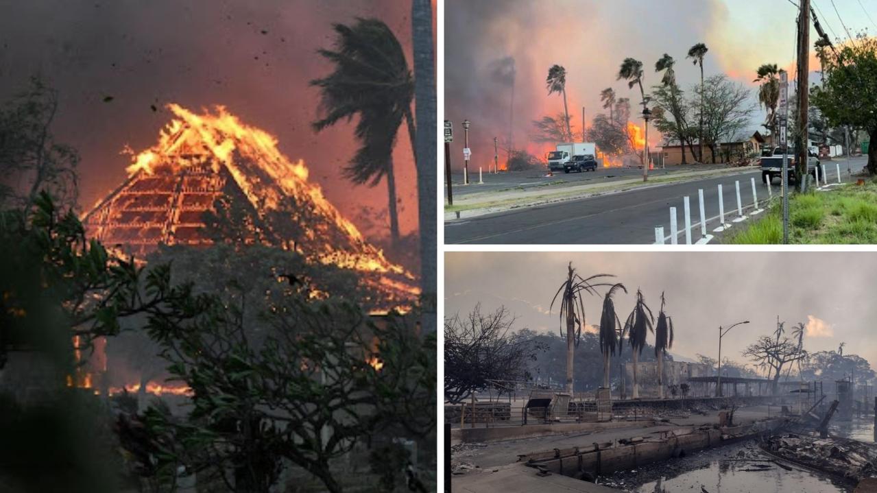 Hawaii bushfires: Survivors recount seeing burning houses, trees, dead bodies