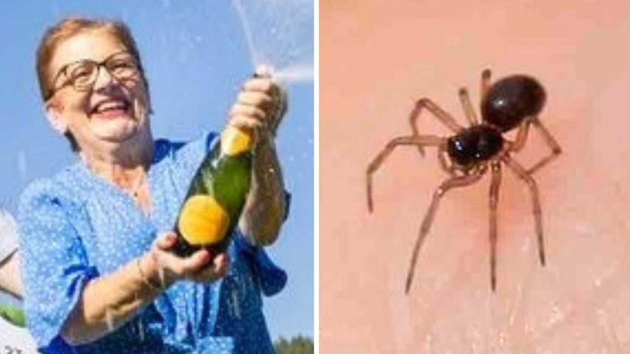 UK grandma wins $7 million in lottery after spotting two money spiders