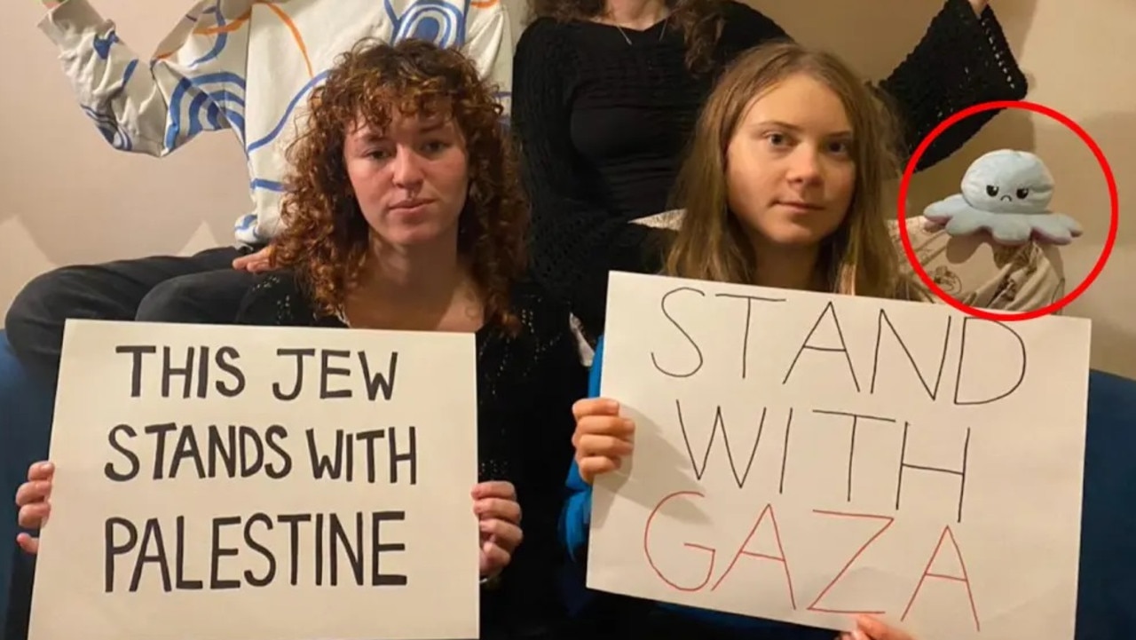 Greta Thunberg deletes pro-Palestinian post after backlash, ‘unaware’ of anti-Semitic octopus trope