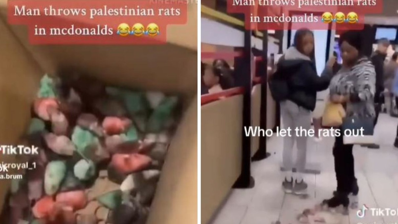 Pro-Palestinian activist throws box of rats in UK McDonald’s