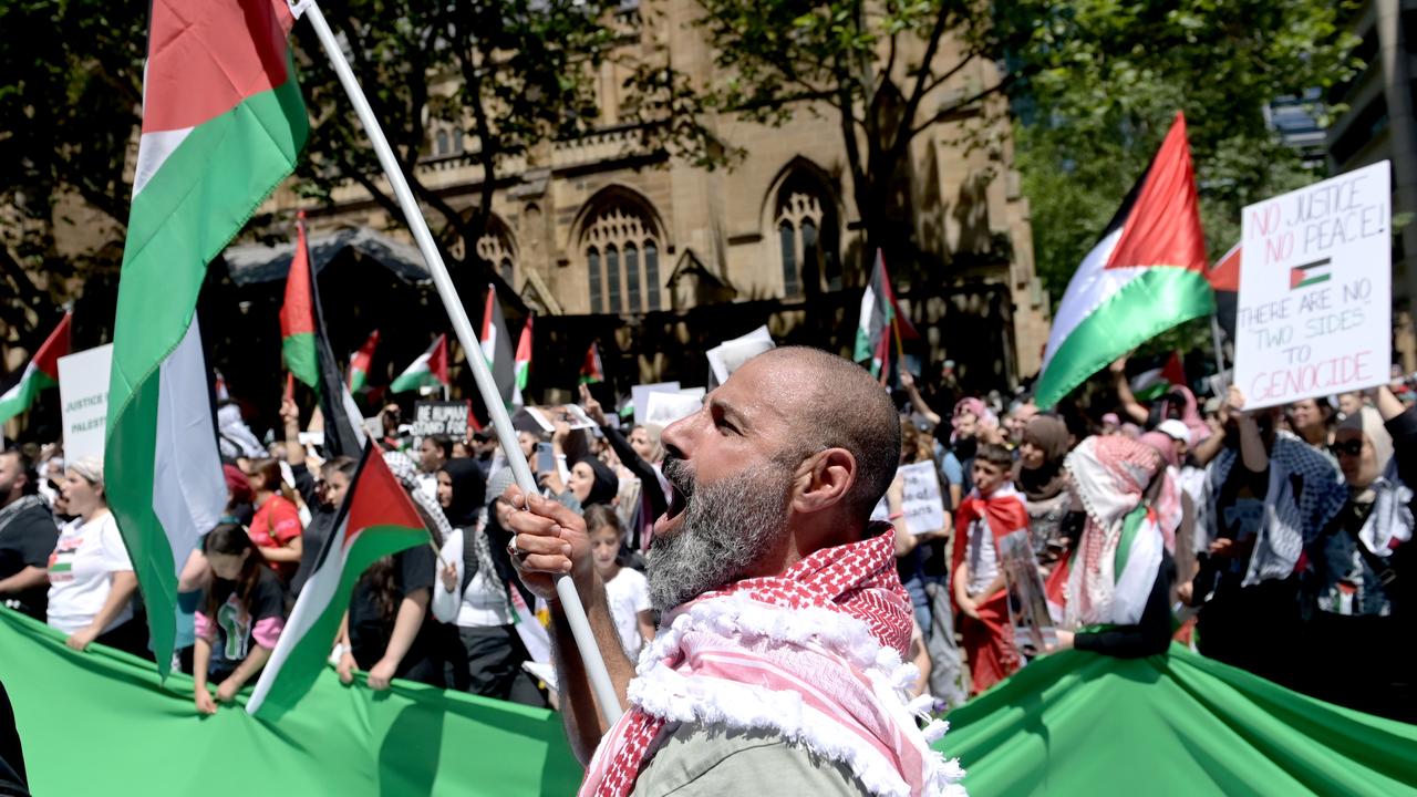 Thousands attend pro-Palestine rallies across the country