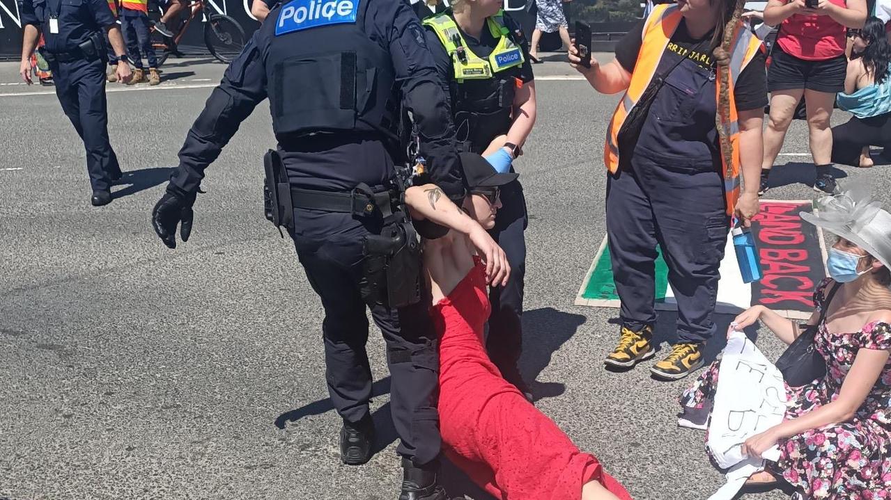 Pro-Palestine protesters cause chaos outside Melbourne Cup