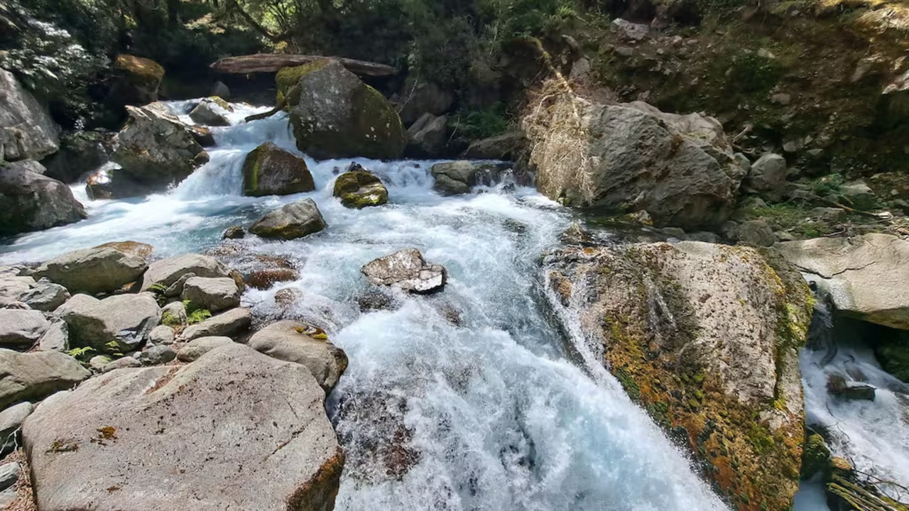 Young Australian girl dies after falling into creek on New Zealand holiday